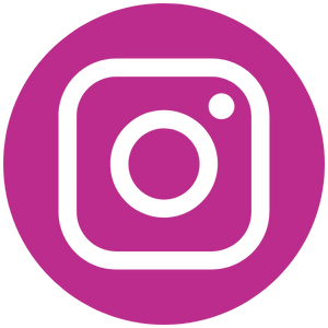 Instagram logo, click to visit the instagram page